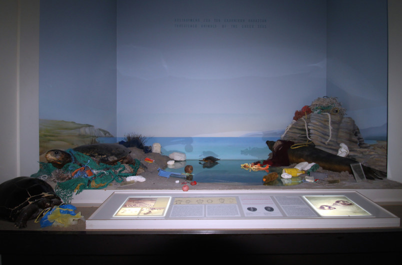 Plastic_TurtleSealDiorama_Intervention_sm