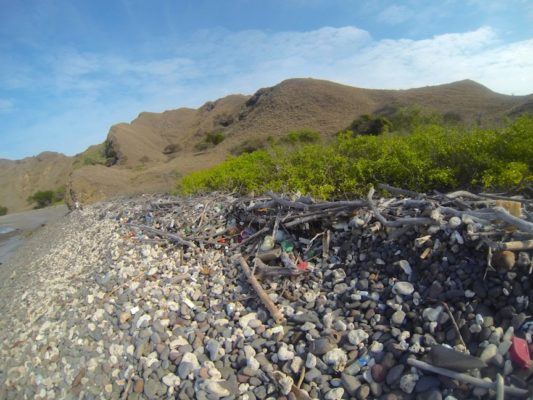 blackplasticbeachpadar